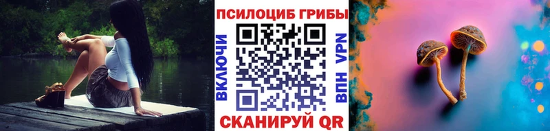 Купить где  Карабулак  Псилоцибиновые грибы Psilocybine cubensis 